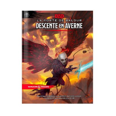 Donjons & Dragons - Descente en Averne – Image 1