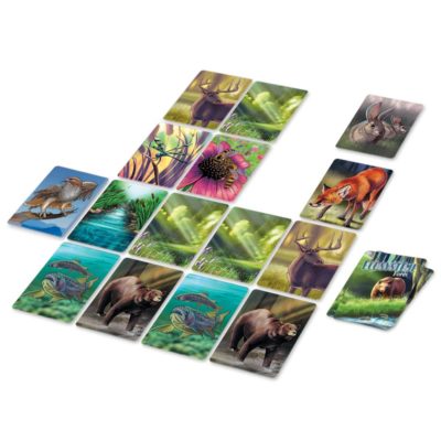 Ecosystème Forêt – Image 2