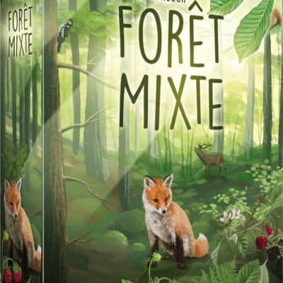 Forêt Mixte – Image 1